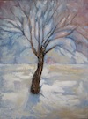 Winter Tree